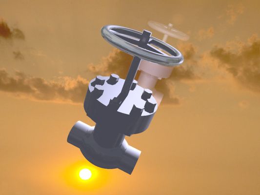 蜗杆的右端固定连接转把一