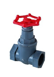 成立日期1999年4月20日